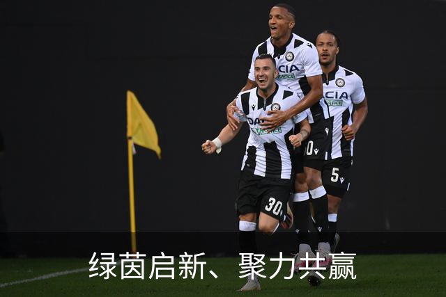 绿茵启新、聚力共赢